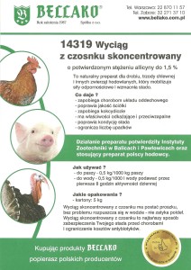 Wyciąg z czosnku skoncentrowany -  opakowanie 5 kg