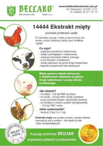 14444 Ekstrakt Mięty.jpg